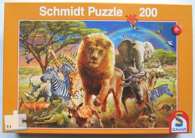 African Wildlife