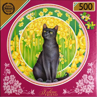 Black Cat