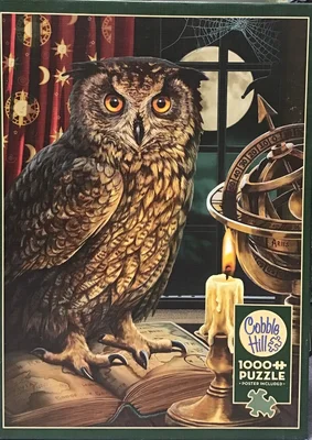 The Astrologer