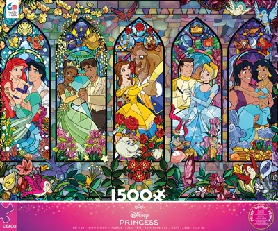 Disney Princess Castle Window