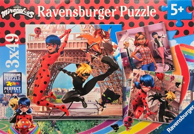Heroes Ladybug and Cat Noir
