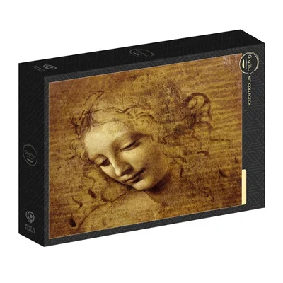The Face of Giovane Fanciulla, 1508
