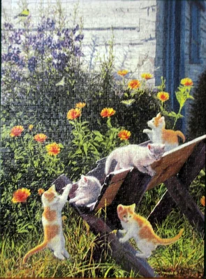 Kittens in the Country