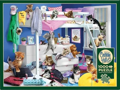 Kitten Slumber Party