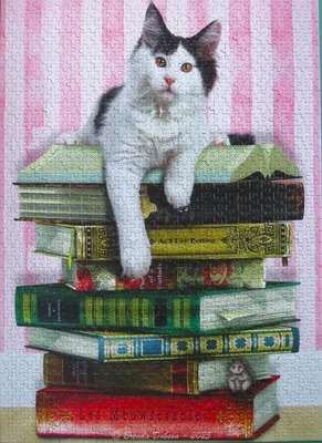 Academic Cat