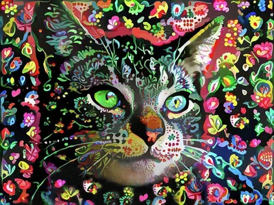 Flora The Tabby Cat
