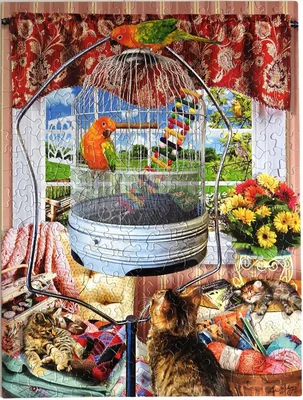 Bird Cage