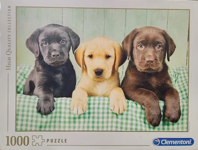 Three Labs