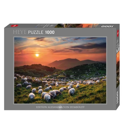 Sheep and Volcanoes