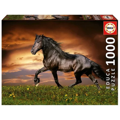 Trotting Horse