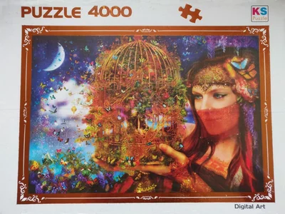 Her Butterfly Fairytale