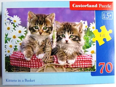 Kittens in a Basket