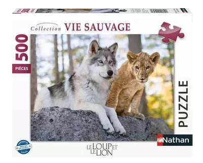 Le loup et le lion