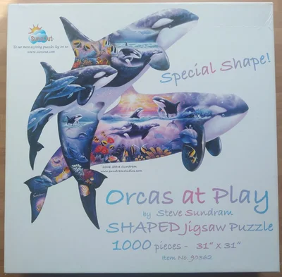 Orcas at Play