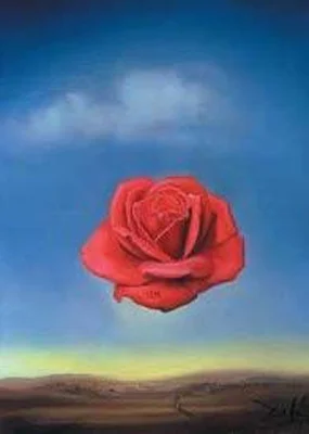 Rose Meditative