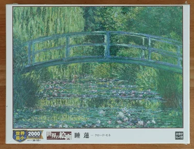Water Lily Pond