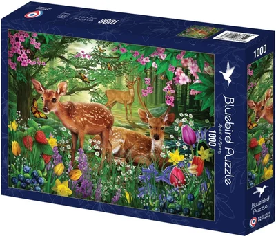 Spirit of Spring