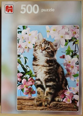 Cat in Blossom