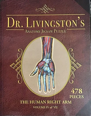 Volume IV: The Human Right Arm