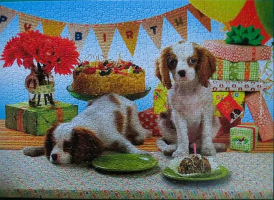 Every Dog Has Its Day