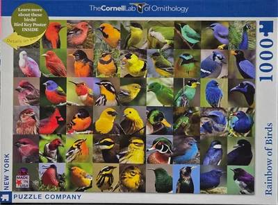 Rainbow of Birds