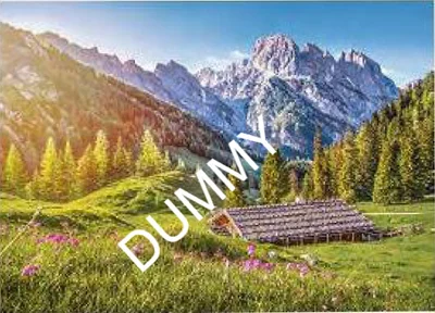 Summer in the Alps