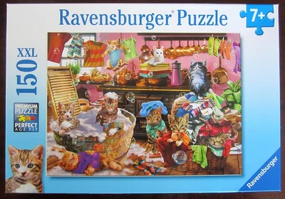 Katzen in der Küche