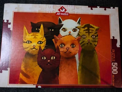 The team of cats