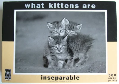 What Kittens are - inseparable