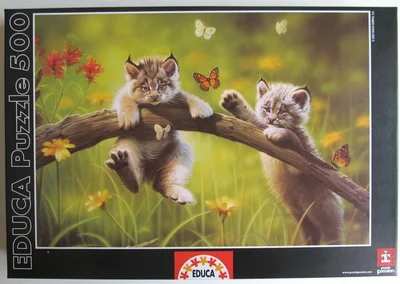 Kittyland
