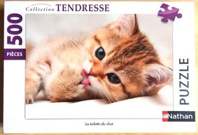 La toilette du chat