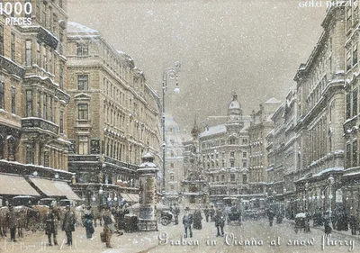 Graben in Vienna at Snow Flurry