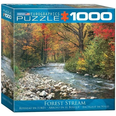 Forest Stream