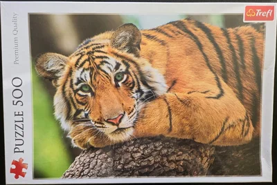 Tiger Portrait