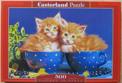 Kittens in Bowls