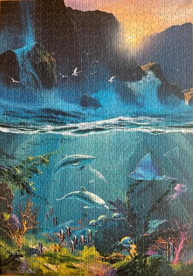 Fantastic Ocean