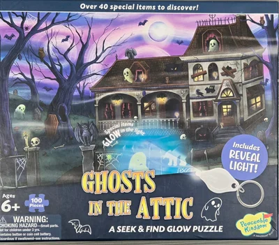 Ghosts in the Attic
