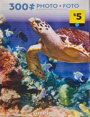 Hawksbill Turtle