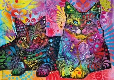 Two Cats