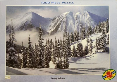 Snowy Winter