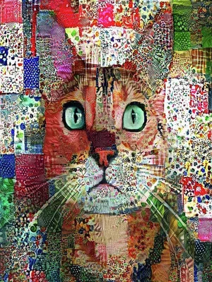 Rex the Patchwork Quilted Tabby Cat