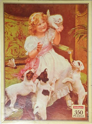 The White Kitten