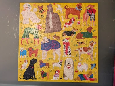Fashionable Dogs