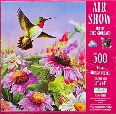 Air Show