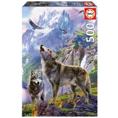 Wolves In The Rocks