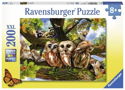 Cute Owls
