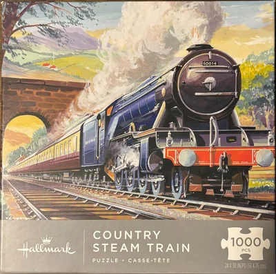 Country steam train
