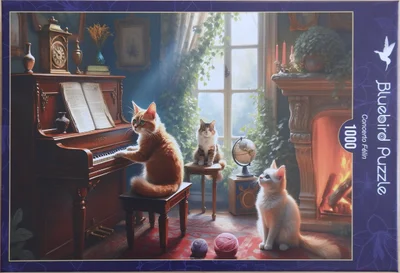 Concerto Félin