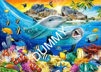 Dolphins in the Tropics