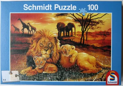 Lion Family